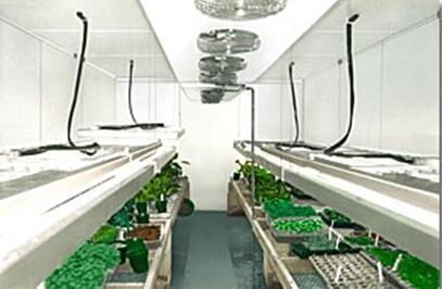植物生长培养箱GR系列-微处理器植物生长培养箱-使用范围/功能/图片