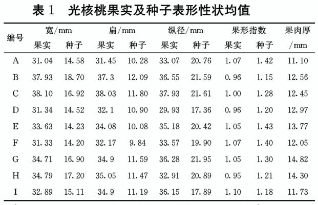 光核桃果实及种子表型性状平均值